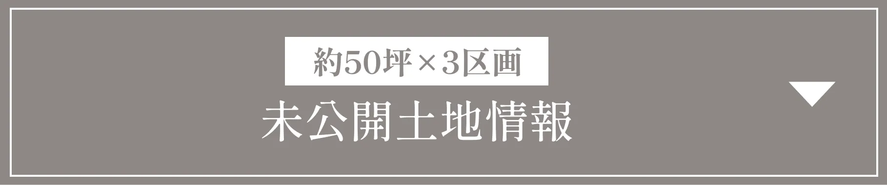 完成現場内覧会情報