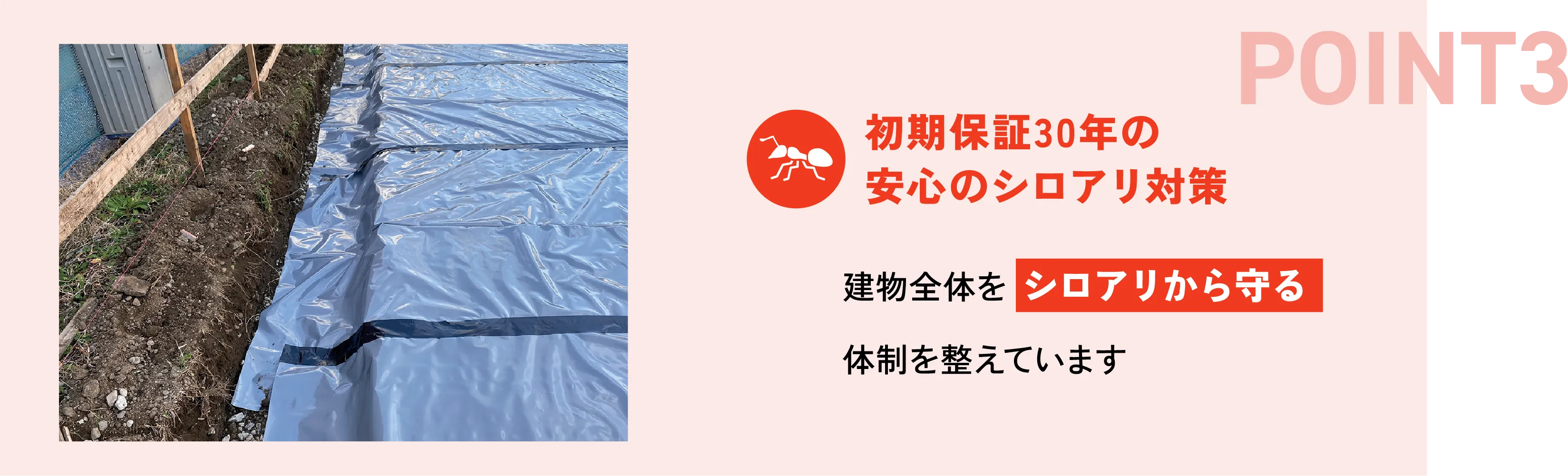 POINT03