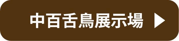 中百舌鳥展示場