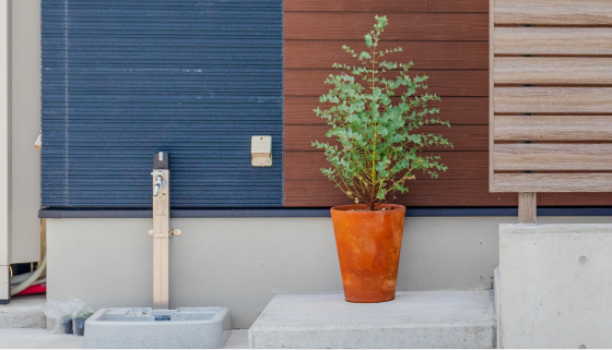 ペット専用の足洗い場がある