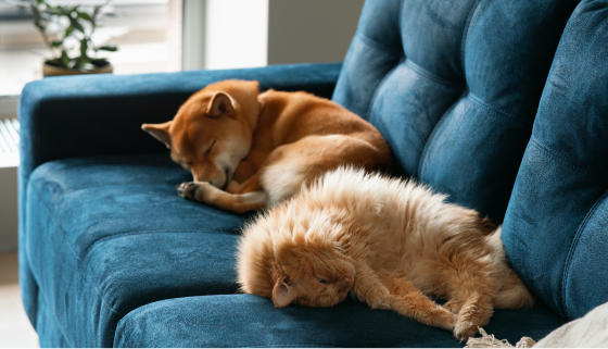 どこでも居心地のいい温度・空気管理